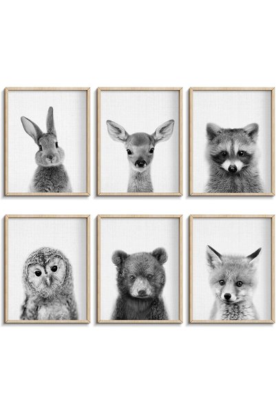 Generic Black and White Wall Art, Baby Animal Posters and Prints, Safari Bunn...