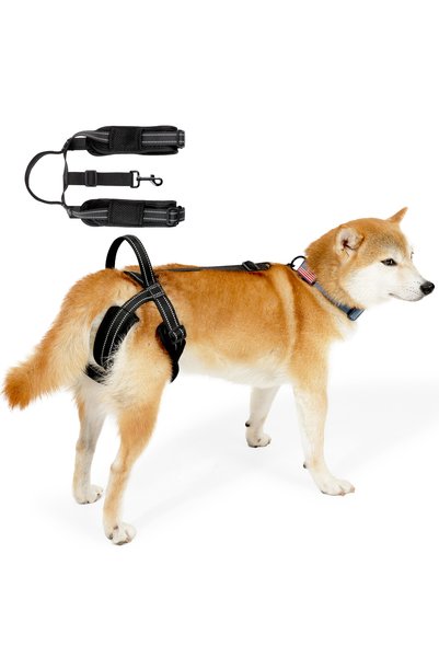 Choice L black Dog Sling for Dogs Hind Leg Support, Dog Sling Lift Harness fo...
