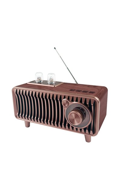 Bluejw راديو FM خشبي بقوة 20 واط، مكبر صوت لاسلكي بتصميم عتيق، سماعات محمولة ...