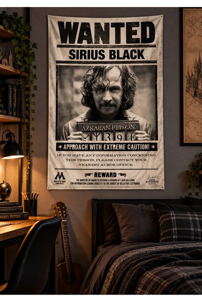 Vagonik Harry Potter Themed Wall Covering |   Azkaban Prisoner Wall Tapestry