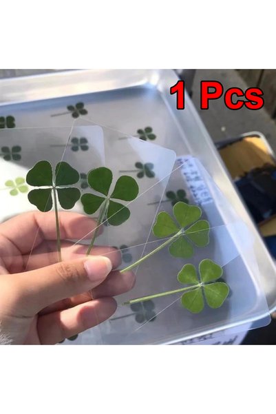 Choice 1pcs 1-10Pcs Lucky Clover Postcards Grass Four Leaf Clover Bookmarks L...