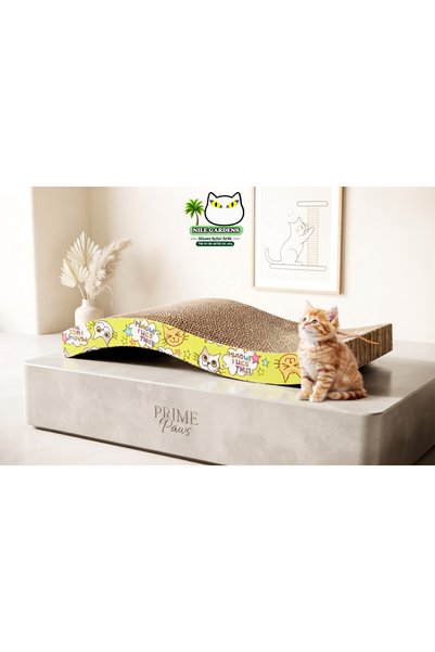 Generic Brand Cartoon Cat Scratcher with Wave Design - Cat Scratching Toy