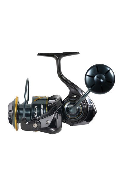 RYUJI Rocky 6000Sw 8+1Bb Reel