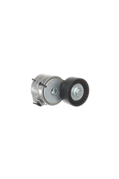 SKF Τεντωτήρας ιμάντα, ιμάντας χρονισμού VKM 33161