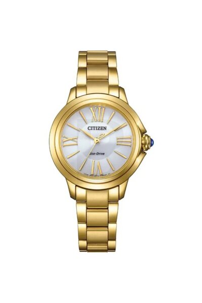 Citizen -Unitate de stocare EM1162-52A