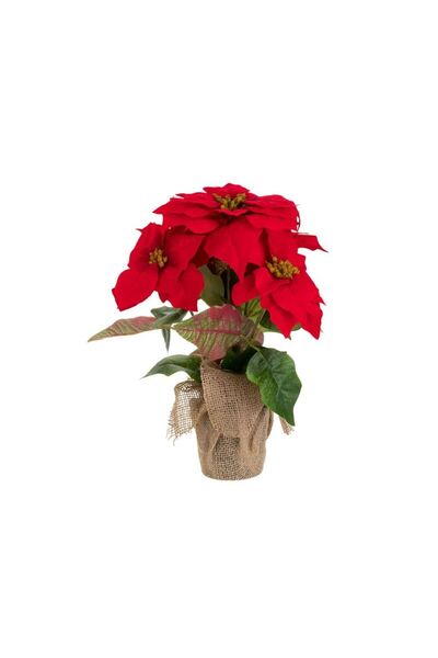 Jumbo Ghiveci Decorativ cu Craciunita Artificiala 42cm