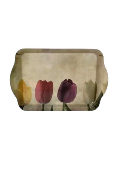 OEM Tăviță din plastic pentru gustări, model Lalea, 21 × 14,3 × 2 cm