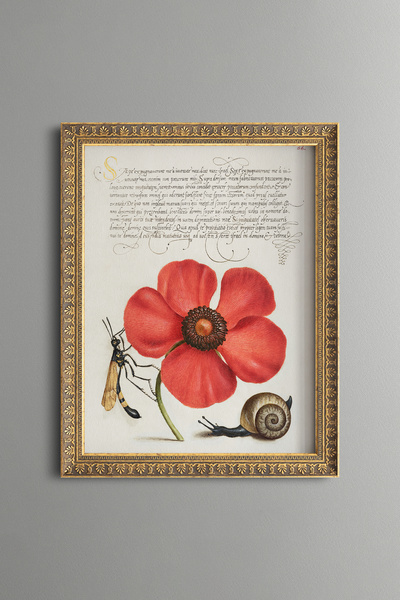 epiqart Poppy, Snail, and Fly - Vintage-Patterned Painting - Slim Design