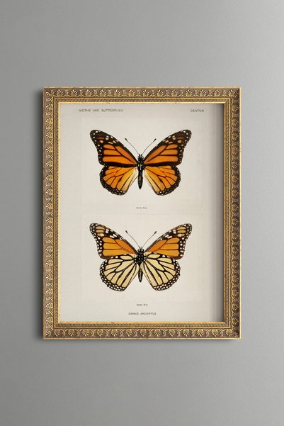 epiqart Two Orange Butterflies - Vintage Patterned Painting - Slim Model