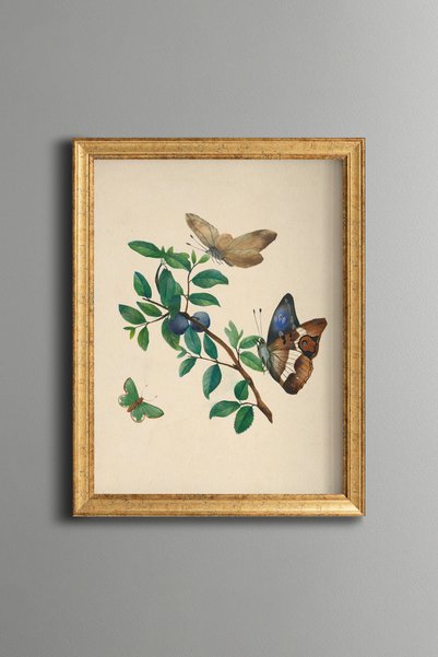 epiqart الكرز والفراشات - لوحة فنية بنمط عتيق - تصميم أنيق.