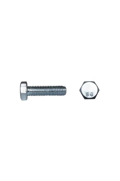 Lider Fixing bolts M5 x 20 mm galvanized, 100 pcs.