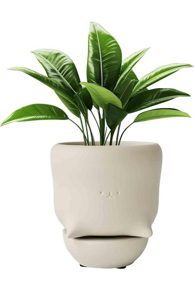 GENERAL Funny Toilet Tray Flower Pot,1Pcs Creative Off-white Ceramic Face Cac...