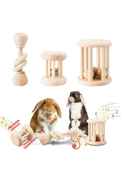 Generic Wooden Bunny Chew Toys, Small Animal Teeth Grinding Toys for Rabbits ...