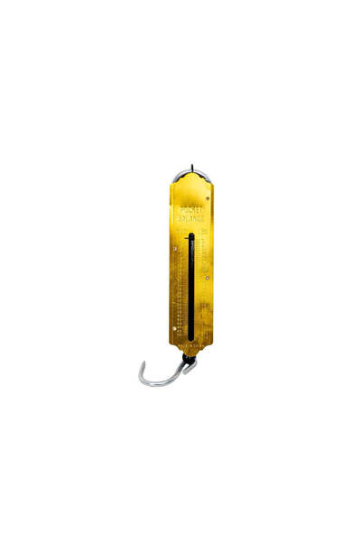 FOXMAG24 Metallic Hand Scale, 50kg, 31cm, Analog, Gold