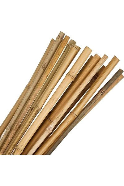 Generic أعمدة خيزران طبيعية - أوتاد خيزران قوية لدعم النباتات (60 سم، 100 سم،...