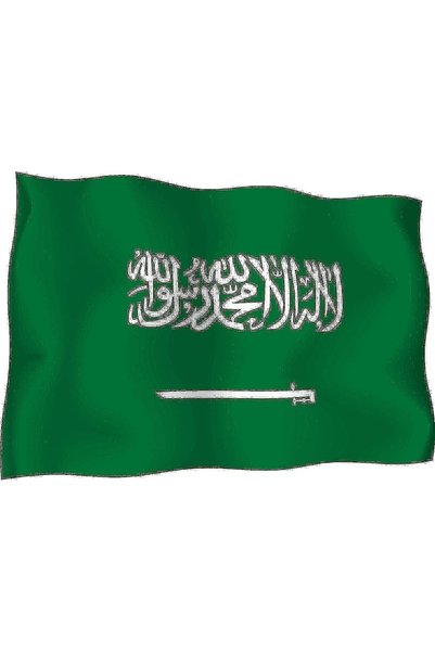 Generic علم المملكة العربية السعودية (90 × 60 سم)