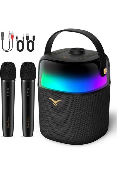 Generic Karaoke Machine for Adults with 2 Wireless Microphones, 60W Portable ...