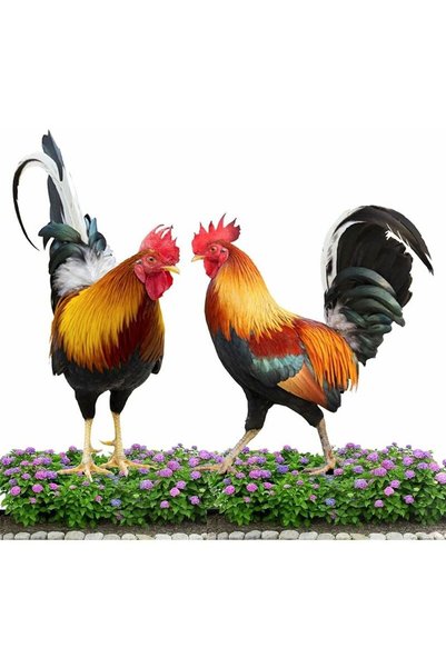 Noonedibs Ornamente de grădină cu pui, 2 bucăți statuie decorativă de grădină...