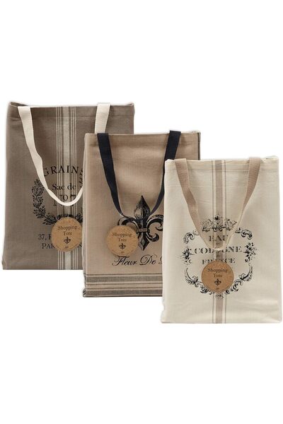 Generic Printed Shopping Canvas Bags, Set of 3, French Print (CAMZ34792)