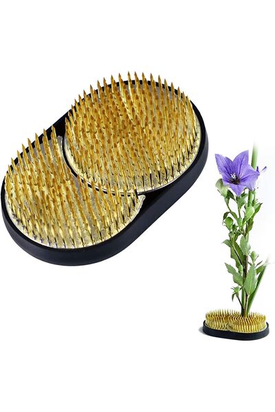 Generic دبابيس تثبيت الزهور، دبابيس زينة النباتات، دبابيس إيكيبانا، دبابيس زه...