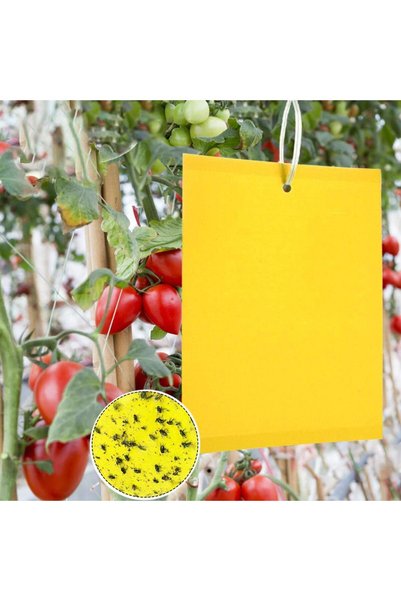 Generic Brand 50 de capcane pentru insecte, capcane adezive cu două fețe, hâr...