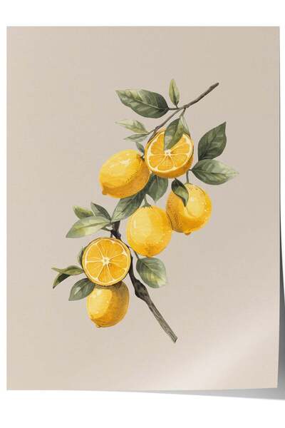 Postifull Poster fără ramă cu acuarelă „Ramură de lămâie”, nr. 160487
