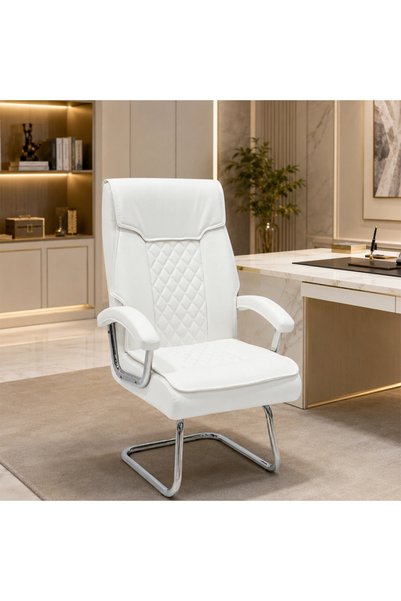 MiLi Modern office chair with elegant and practical design