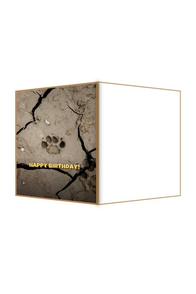 OEM Felicitare Aniversare cu temă pistă noroi crăpat, 13.3x19.4cm pliată