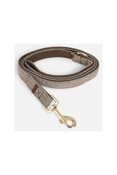 Jumbo Lesa Bej Maro cu Detalii Aurii pentru Caini 120x2cm
