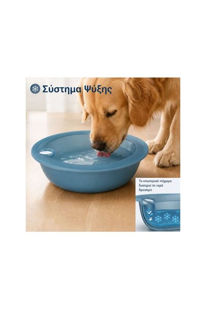Jumbo Bol Apa Rece pentru Animale de Companie 500ml