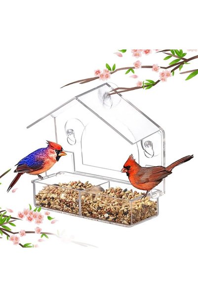 KASTWAVE Window Bird Feeder for Outdoor, Birdfeeders with 3 Extra Strong Suct...
