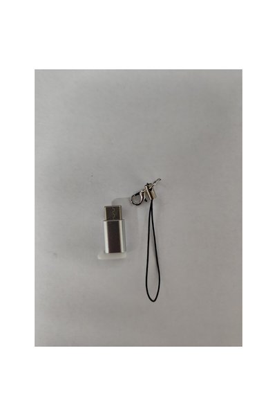 OEM Micro USB (female) to Type-C (male) adapter with Keychain included, Silver
