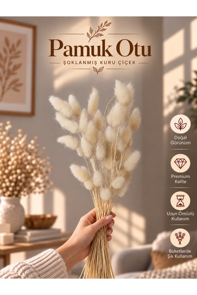 Decolass Kuru Çiçek Pamuk Otu Demeti 35-40 cm Beyaz