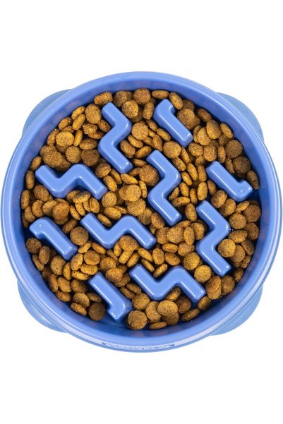 Generic Fun Feeder Slo-Bowl Healthy Slow Feeding Dog Bowl, Small, Blue