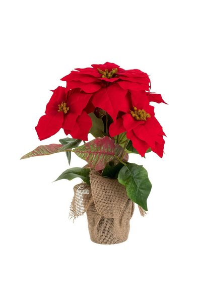 OEM Ghiveci Decorativ cu Craciunita Artificiala 42cm