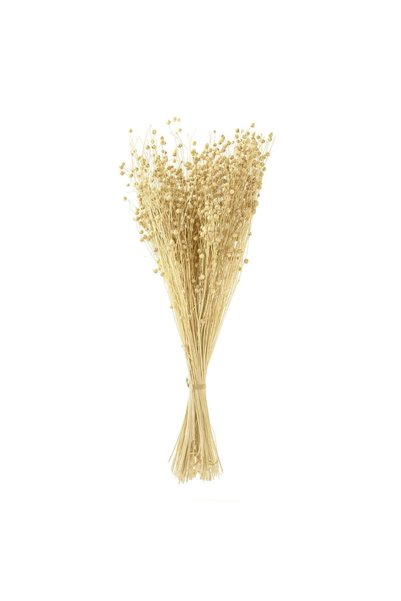 OEM Buchet Decorativ cu Plante Artificiale Seminte Crem 50cm