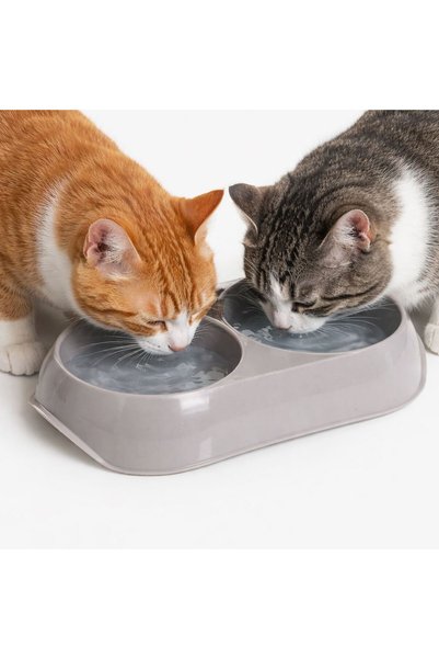 OEM Double Plastic Pet Bowl 23x4x13cm