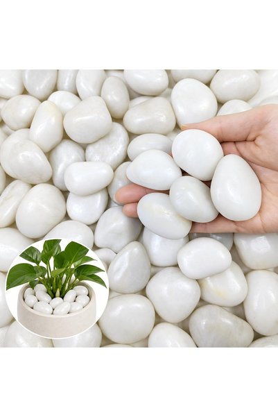 Generic White River Rocks 2.4 LB, Polished Decorative Pebbles 1-3 cm, Smooth ...