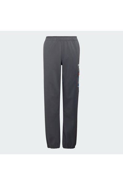 adidas Minecraft Terrex CLIMAWARM Softshell Tracksuit Bottoms
