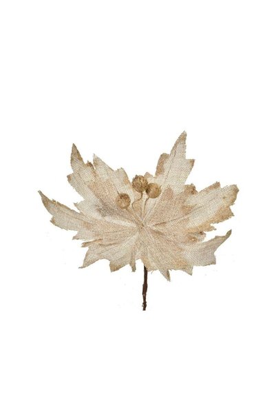 Jumbo Floare Decorativa de Craciun Crem cu Clips 25cm