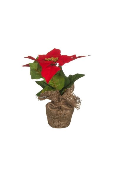 Jumbo Ghiveci Decorativ cu Floare Artificiala Craciunita 20cm
