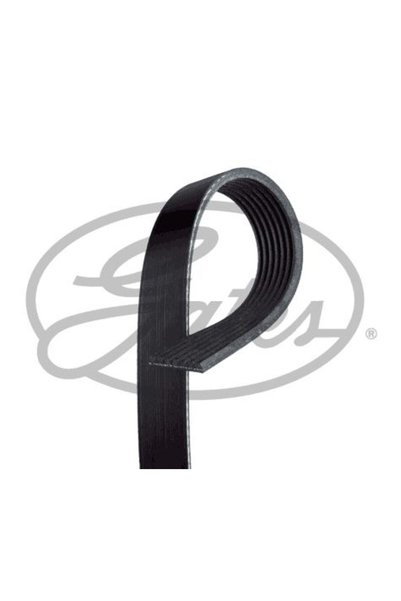 GATES KANALLI KAYIS 16V 10=> TRAFIC II / DCI 16V 06=> DODGE TO