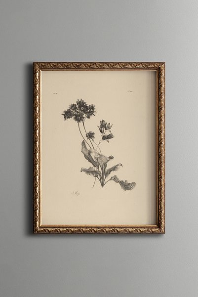 epiqart رسم زهرة البراري - لوحة فنية بنمط عتيق - تصميم أنيق