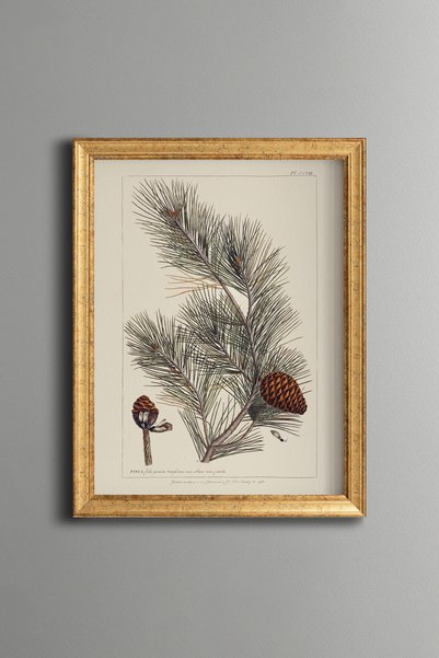 epiqart Pine Branch and Pine Cone - Vintage Patterned Painting - Slim Model