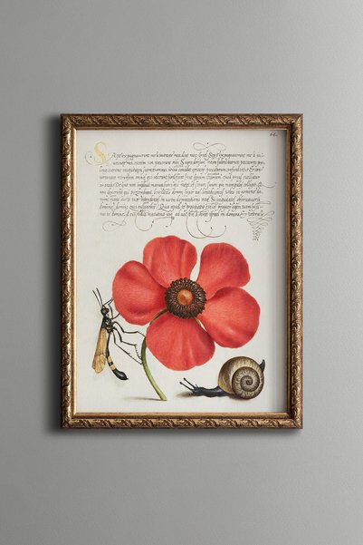 epiqart Poppy, Snail, and Fly - Vintage-Patterned Painting - Slim Design