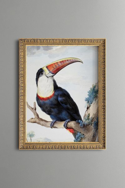 epiqart طائر التوكان ذو المنقار الأحمر - لوحة فنية بنقشة عتيقة - تصميم أنيق.