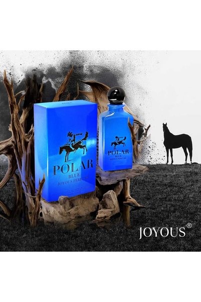 Joyous POLAR BLUE FOR MEN 100 ML BY