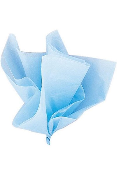 Generic 10 Baby Blue Tissue Sheets