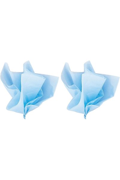 Generic 10 Baby Blue Tissue Sheets (Pack of 2)