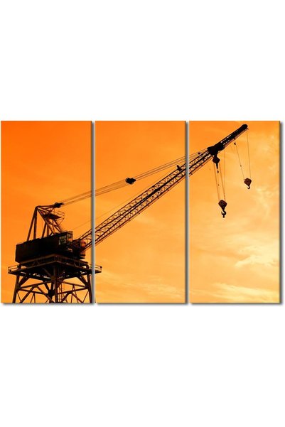 Generic 3 Pieces Heavy Crane Pictures Wall Art Home Decor Crane at Dusk at a ...